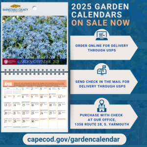 2025 Barnstable County UMass Garden Calendar on sale now. The image displays the cover and inside pages of the calendar, showing a beautiful blue flowering plant. The calendar is available for purchase in three ways: (1) order online for delivery through USPS, (2) send a check in the mail for delivery through USPS, or (3) purchase with a check at the office located at 1358 Route 28, South Yarmouth, MA. The link to order the calendar is capecod.gov/gardencalendar.