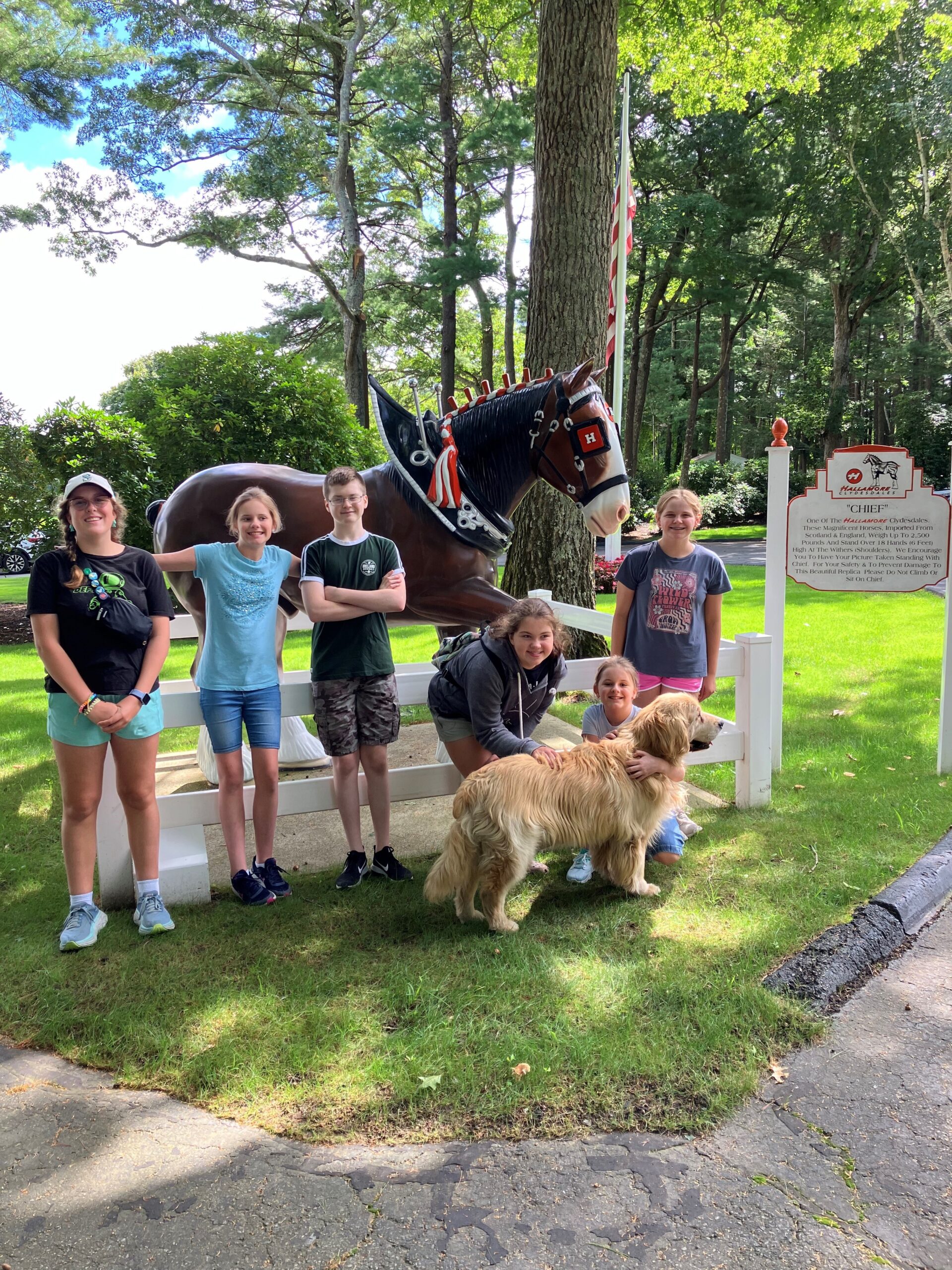 Extension and 4-H are all about making life better for Cape Cod youth—whether it’s bonding with majestic Clydesdales or learning new skills.