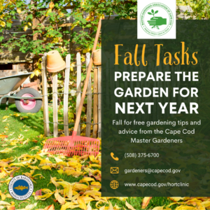 A vibrant garden scene in the fall with scattered yellow leaves. A wheelbarrow and gardening tools, including rakes and a shovel, lean against a rustic fence. The text on the right reads: 'Fall Tasks: Prepare the Garden for Next Year. Fall for free gardening tips and advice from the Cape Cod Master Gardeners.' Contact details are displayed below, including a phone number (508) 375-6700, an email address gardeners@capecod.gov, and a website www.capecod.gov/hortclinic. The Barnstable County and Master Gardener Association logos appear at the top.