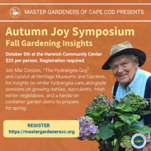 At the top is the logo and text Master Gardeners of Cape Cod Presents: Autumn Joy Symposium for Fall Gardening Insights. October 5th at the Harwich Community Center $25 per person. Registration required. Join Mal Condon, “The Hydrangea Guy” and curator at Heritage Museums and Gardens, for insights on winter hydrangea care,alongside sessions on growing dahlias, succulents, fresh winter vegetables, and a hands-on container garden demo to prepare for spring. Register at https://mastergardenerscc.org. 