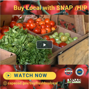 Buy local Cape Cod produce with SNAP and HIP benefits.