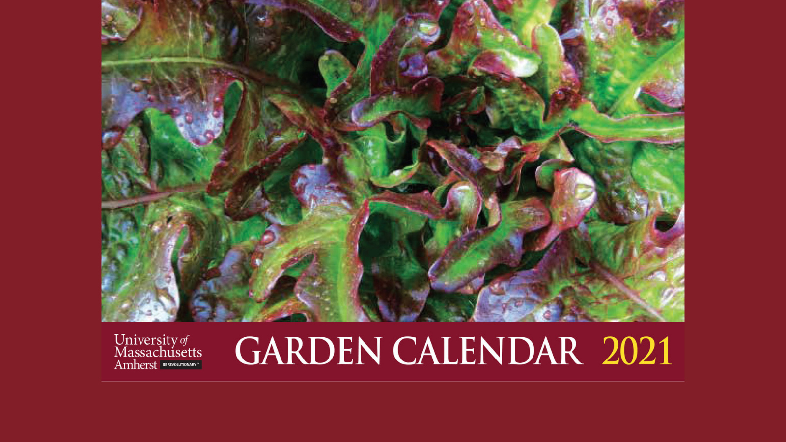 2021 UMASS Garden Calendar and Master Gardener Scholarship Offering