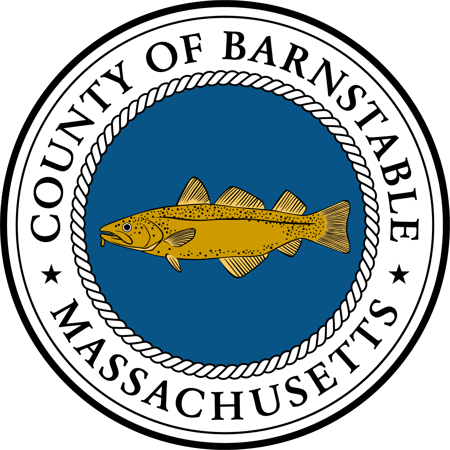 Regional ARPA Advisory Committee - Barnstable County