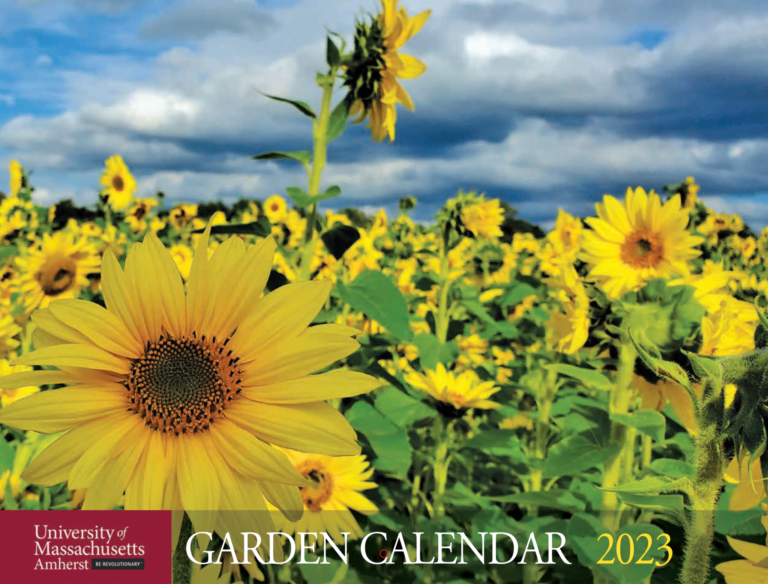 The University of Massachusetts Garden Calendars for 2023 Now Available