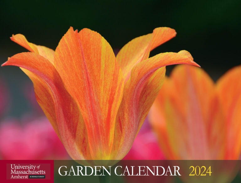 2024 UMass Garden Calendars Available for Purchase Through Cape Cod