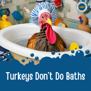 A turkey wearing a shower cap sits in a bathtub surrounded by rubber ducks, with text reading "Turkeys Don't Do Baths. County logo in the upper right corner.