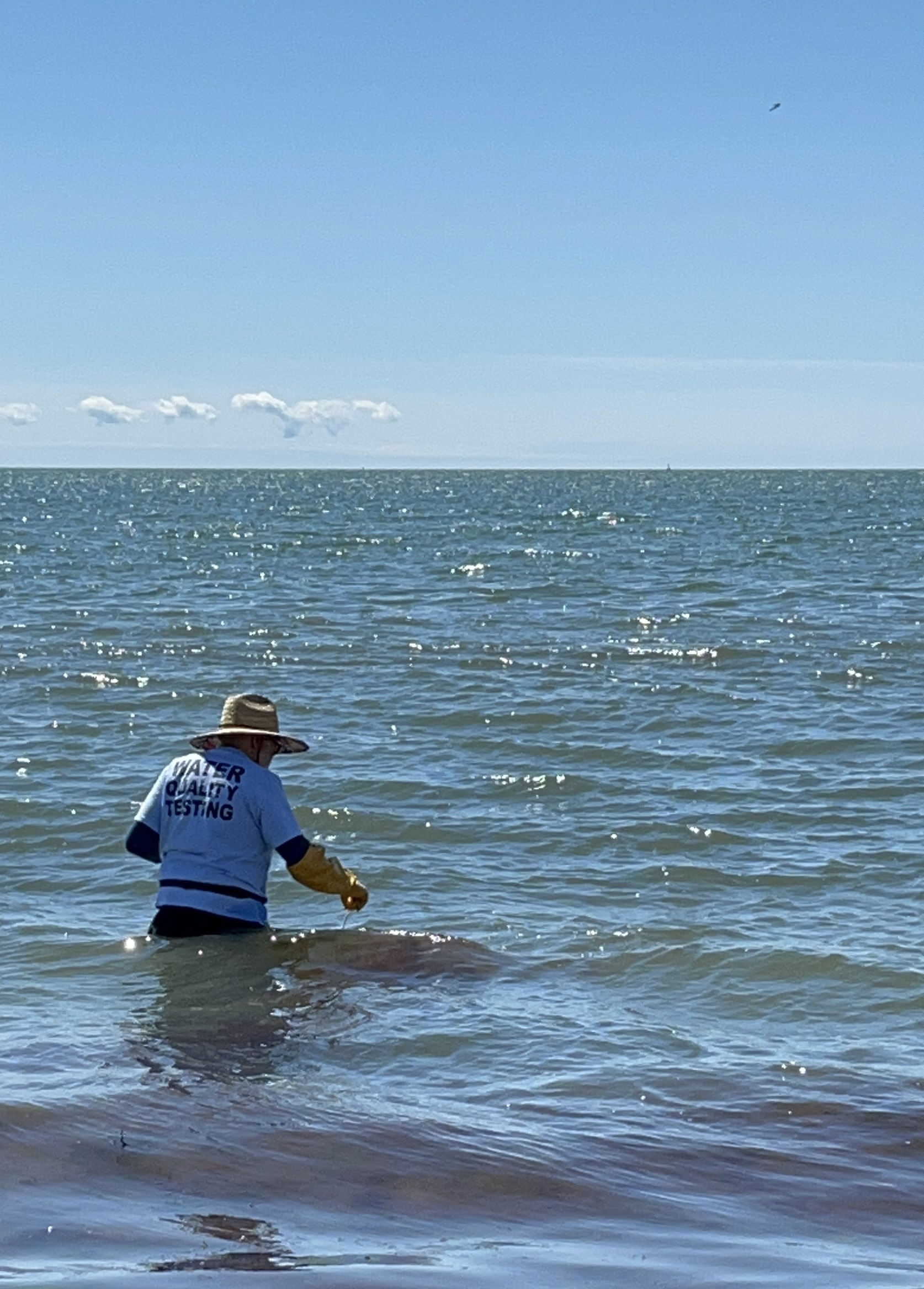 Barnstable County's Beach Monitoring Program is Underway for the 2024