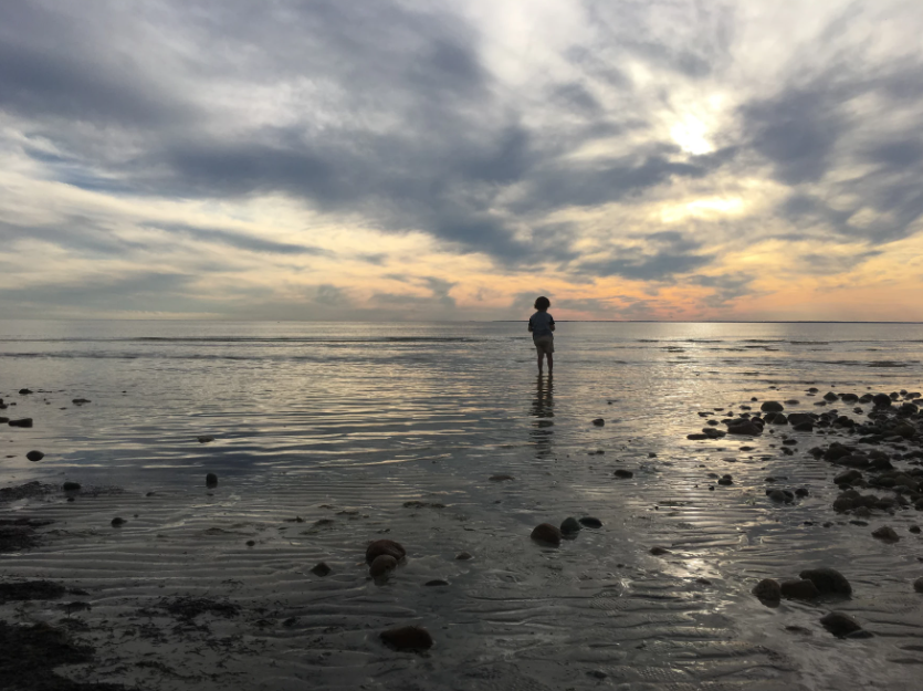 Child standing on a beach at low tide, looking at the sunset.