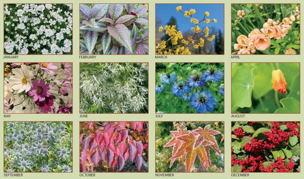 2025 UMass Garden Calendars Now Available for Purchase Barnstable County