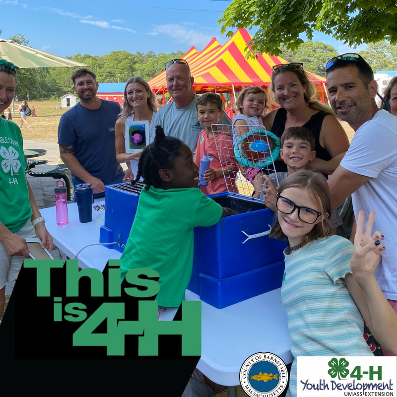 A group of children and adults gather around a 4-H activity table at an outdoor fair, smiling and engaging with a hands-on exhibit. A young child in a green 4-H shirt reaches into a blue bin, while another child wearing glasses flashes a peace sign. The background features a red and yellow striped tent, trees, and other fairgoers. The image includes the text ‘This is 4-H’ in bold green and black letters, along with the Barnstable County and 4-H Youth Development logos.