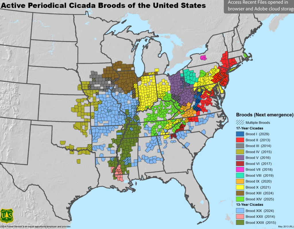 A color-coded map of the United States showing the active periodical cicada broods and their next expected emergence years. Broods are marked with different colors, indicating both 17-year and 13-year cicada life cycles. The map includes a legend with upcoming brood emergence years, highlighting Brood XIV in 2025.